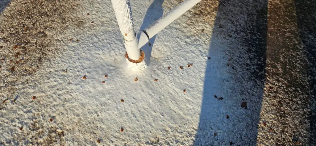 roof leak inspection scottsdale az durafoam roofing