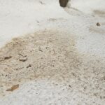 Emergency Roof Leak Repair in Phoenix: What to Do First 3 emergency roo leak repair phoenix