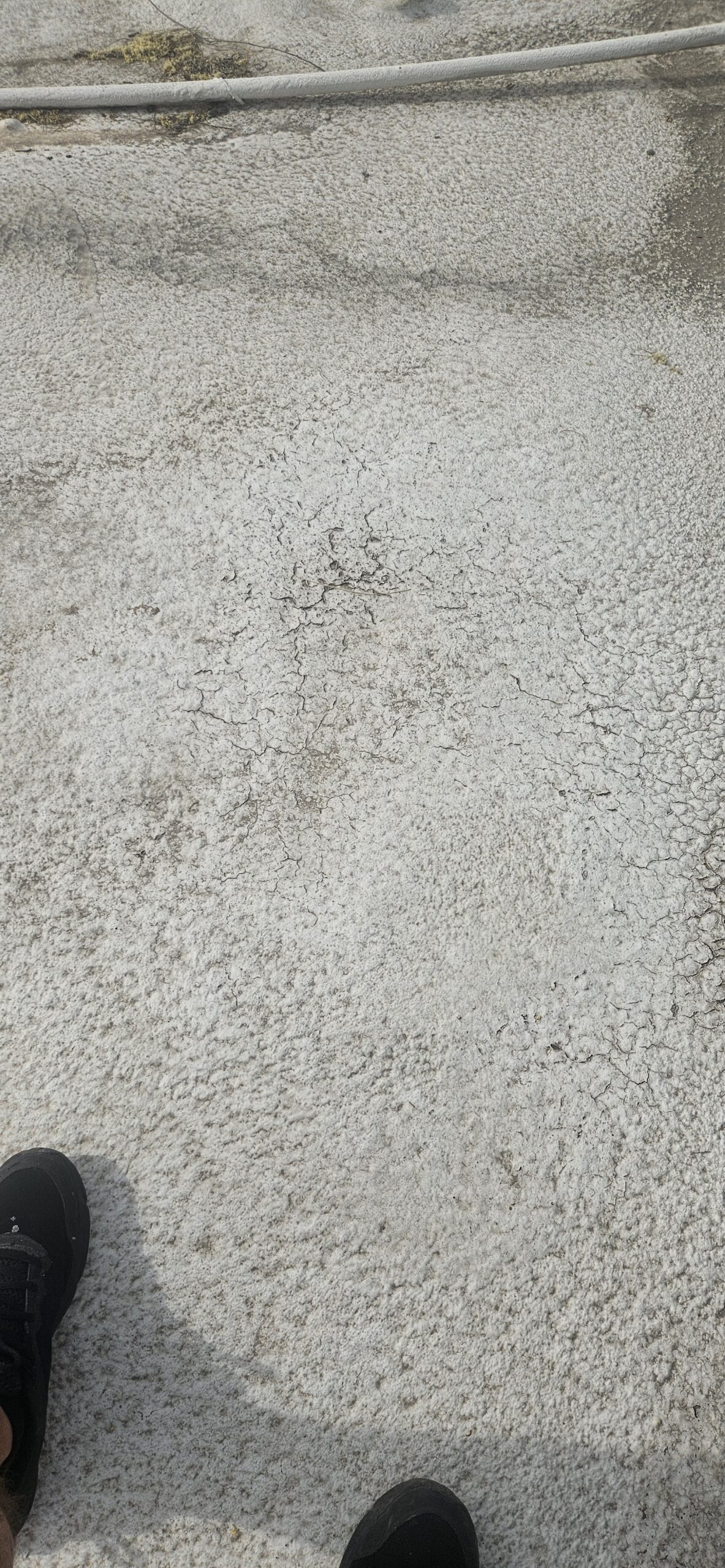 foam roof recoat phoenix scaled