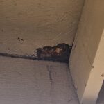 Roof leak damage from Monsoon storm in Phoenix