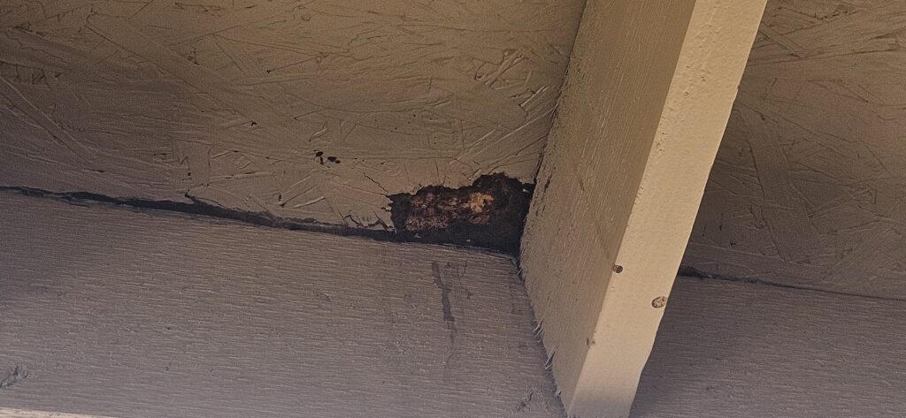 storm damage roof repair phoenix